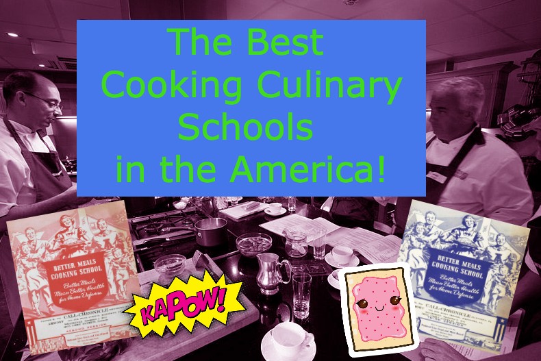 The 4 Best Cooking & Culinary Schools in the United States! Content Bash